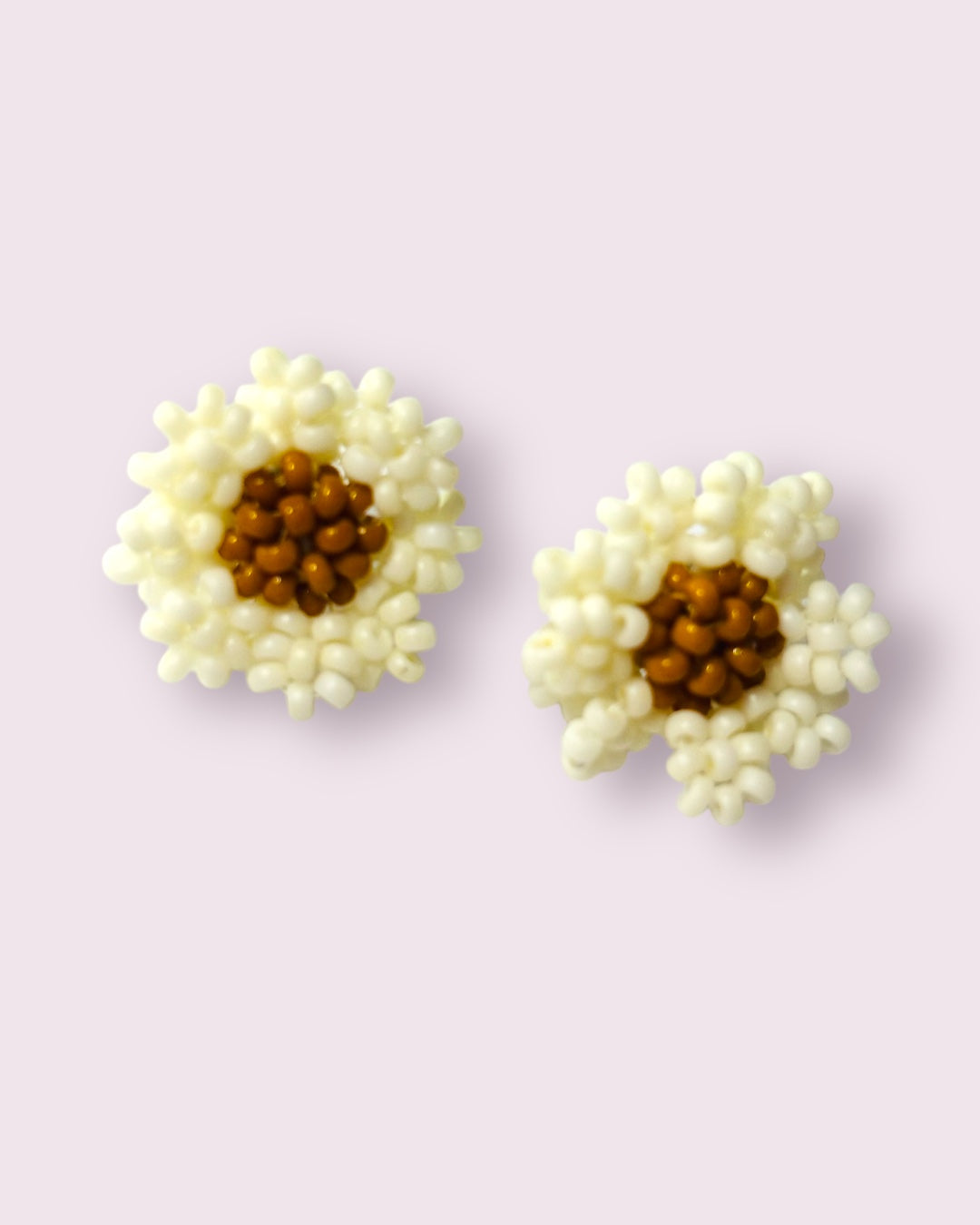 White Everlasting Daisy Studs